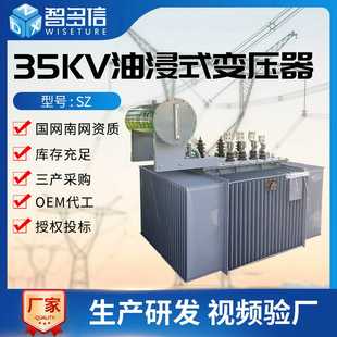 变压器315kva三相双绕组无励磁有载调压SZS9配电变压器 35KV油浸式
