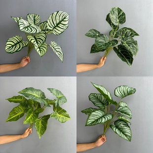 10头白掌叶过胶仿真绿色仿真植物墙配材绿植苹果叶水培手感胶布叶