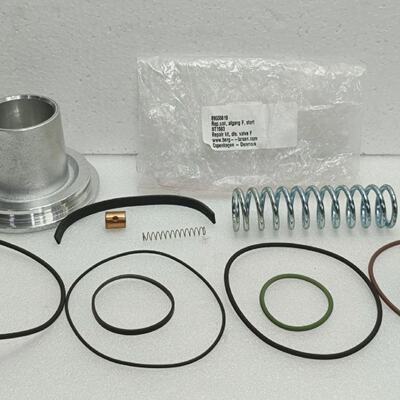 Berg  Larsen Discharge Valve Repair Kit 89555619 NT1693  w S