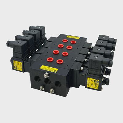 RGS E2591GP04B Valve Unit Magnetventile for Industrialist In