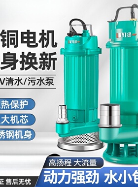 潜水泵220V小型污水泵家用抽水泵高扬程农用抽水机大流量灌溉排污