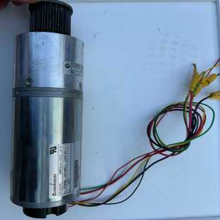 实物功 永磁直流电动机PLG63LN 询价 GR63x55 恩科