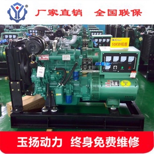 湘潭50千瓦柴油发电机组小型豆腐厂备用电源50kw潍坊厂