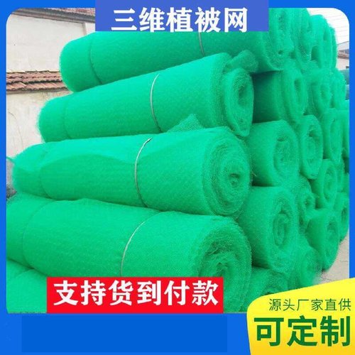 三维植被网护坡固土网垫绿化高速边坡绿化植草网加筋麦克垫遮盖网