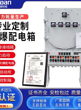定制户内外碳钢防爆配电箱plc控制柜磁力启动检修电源仪表接线箱