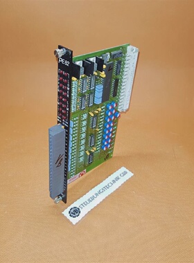 BR Analog Input ModuleControl Card Type PE82ECPE821 Rev 00.0