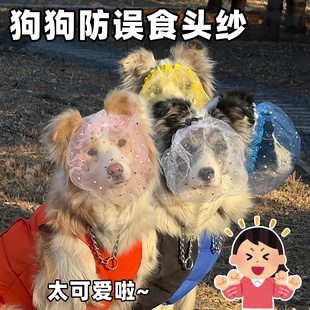 狗狗防误食头罩可爱创意网纱高颜值小狗服装小猫小狗户外遛狗通用