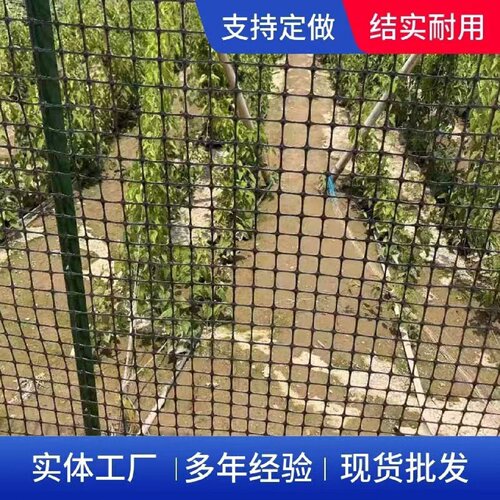 土工复合格栅双向塑料覆布复合土工布机场绿色护坡复合格栅