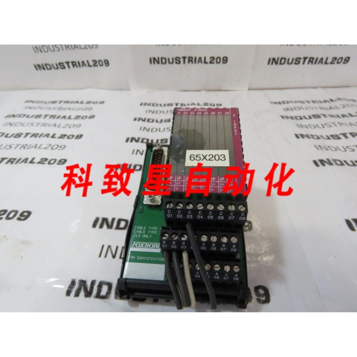 工业配件P0916AA OC RY0612模块带FBM201模块