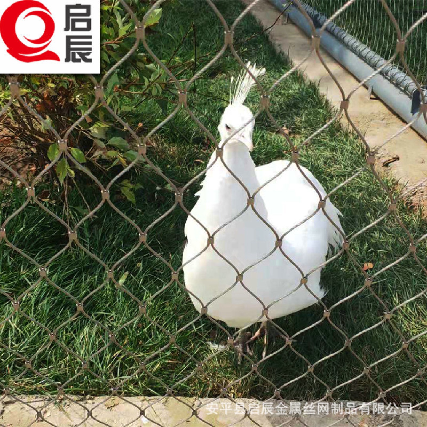 304316L不锈钢鸟笼网鸟笼舍网生产厂家