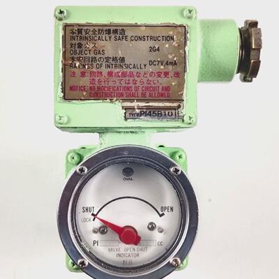 Indicateur DOuvertureFermeture De Soupape Ovale PI45B10 6119