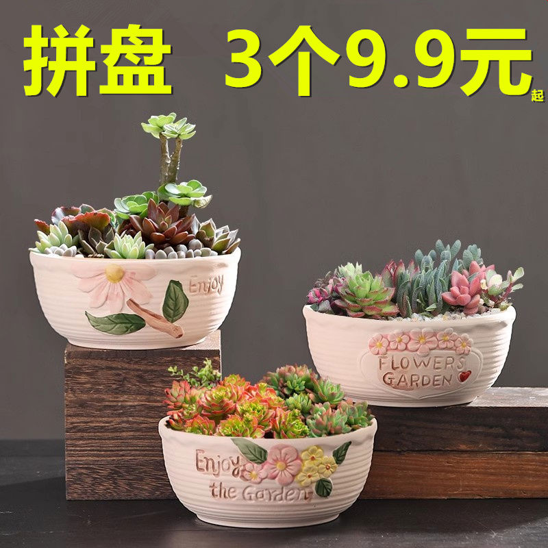 大口径拼盘多肉花盆陶瓷特价清仓个性粗陶肉肉植物大号创意小