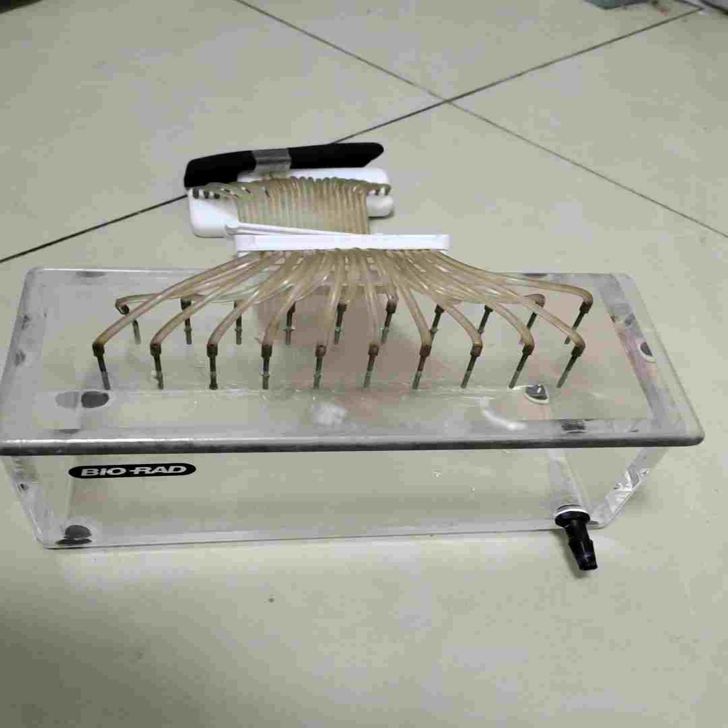 BIORAD清洗槽，邮费自理询价