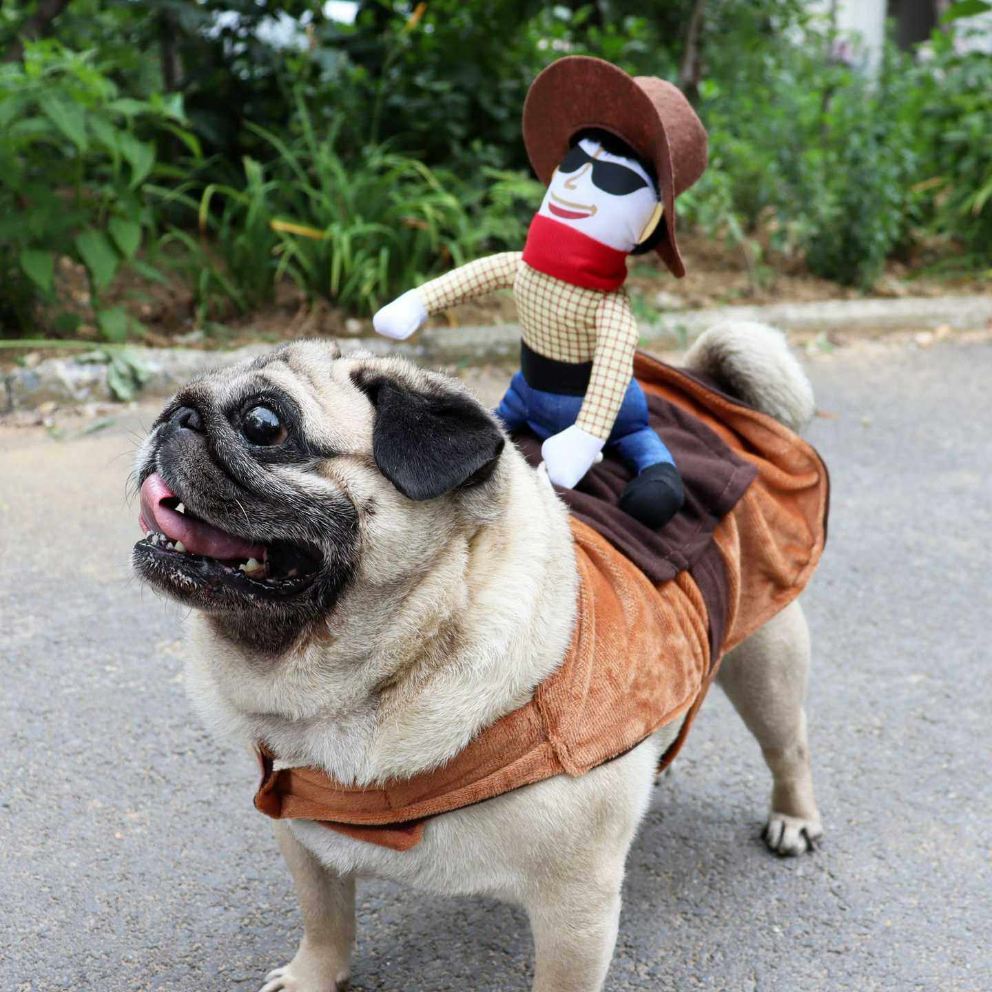 宠物万圣节搞怪服饰迪克牛仔骑马装中大型犬狗狗衣服宠物用品