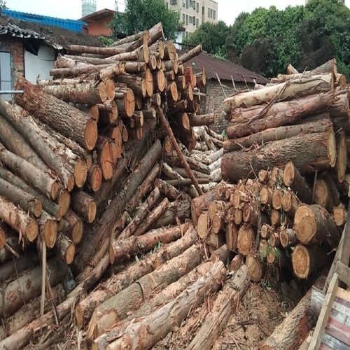 实木叉车托盘物流卡板木架栈板放货地台仓库防潮垫仓板木托板定制