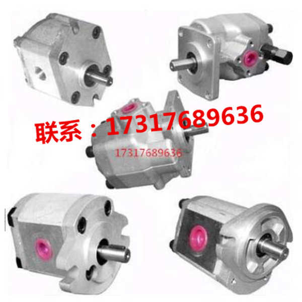 齿轮泵KP0523CPSS,KP0530CPSS齿轮泵