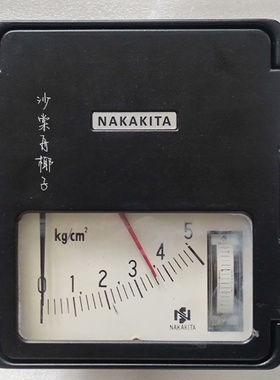 【议价】NAKAKITANSPS73205kgPI压力