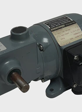 GROSCHOPP DM 8040  DM8040 GEARMOTOR Z2 460266V 60Hz 22W WK09