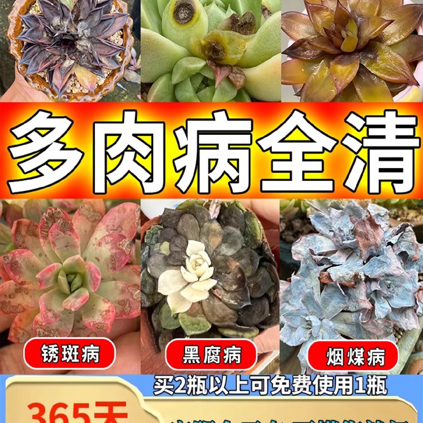 多肉白粉黑斑病专用杀菌植物通用增肥营养液肥料专用肥蚧壳杀虫剂