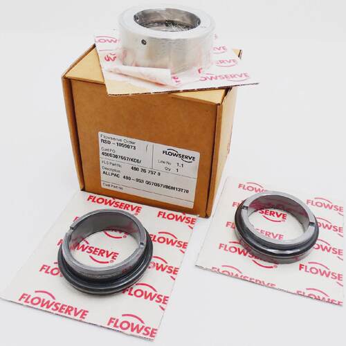 Flowserve ALLPAC 480053 Q57Q57V86M13T70 RSD1059073 bef. Dich