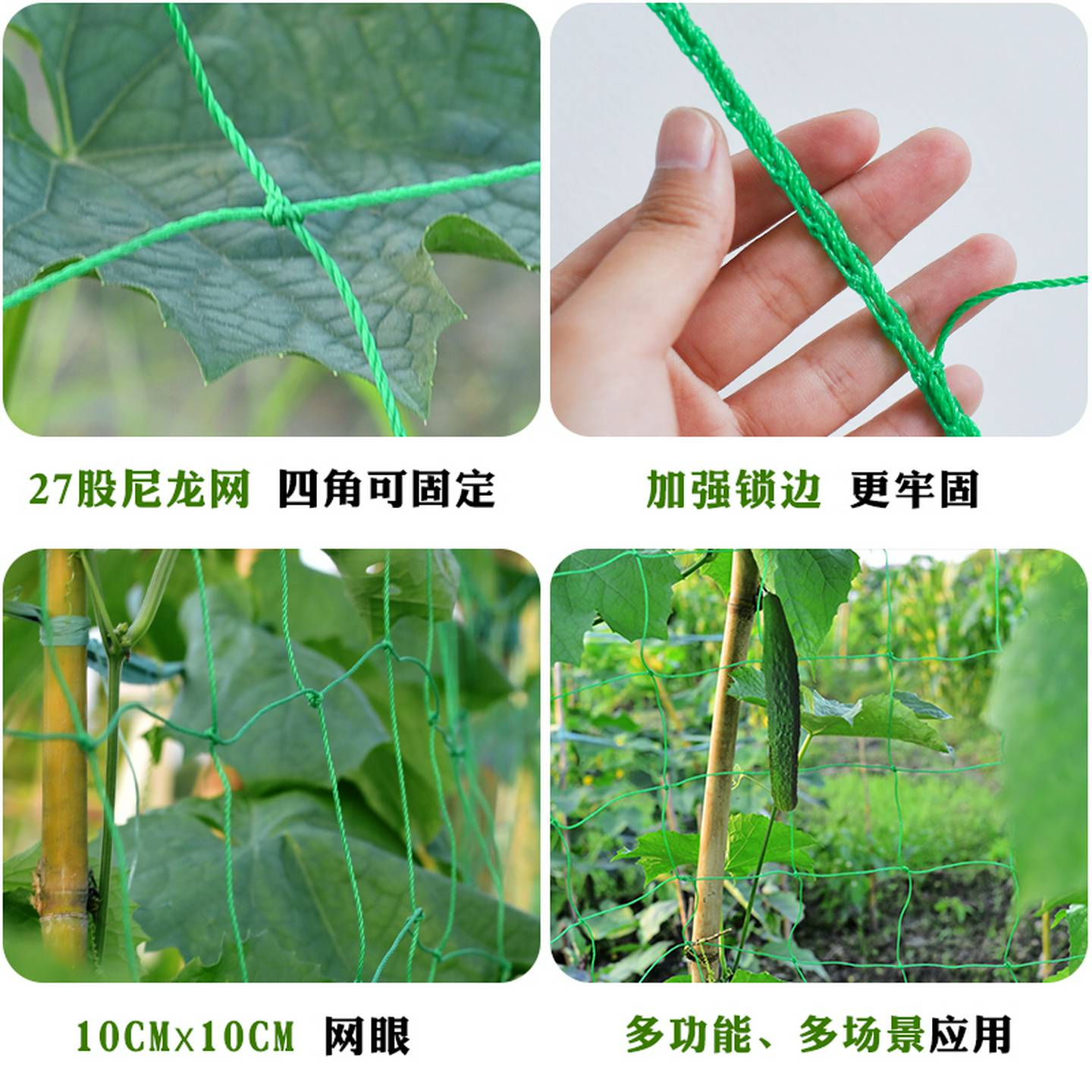 植物爬藤网铁丝种植网百香果网专用爬藤网豆角苦瓜网农用牵藤拉绳