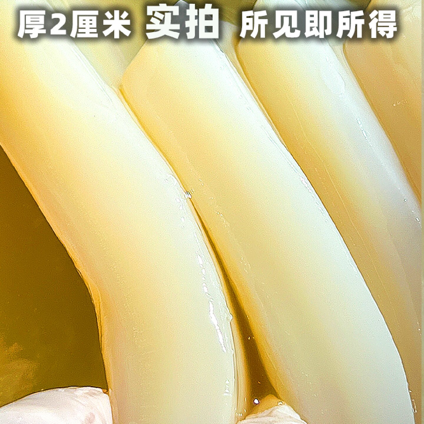 厚2厘米正宗红茶菌酵素妈妈菌种海宝胃宝木醋杆菌醋酸菌康普茶