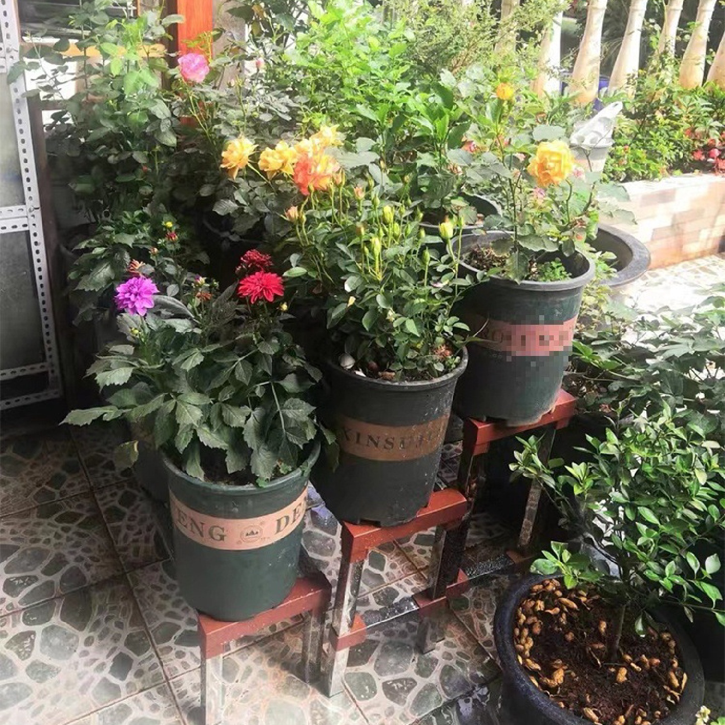 可订花盆移动阳台客厅置物架室内单层花架子不锈钢户外阶梯式多层