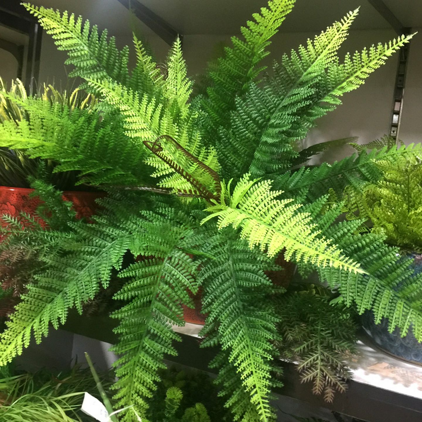 仿真波斯草蕨草假花蕨类植物草绿化墙店面装饰盆栽植物