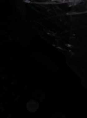 哈姆雷特HMCH20-4VKLQ-M4-ISLT-2PSI手（地坛设备）