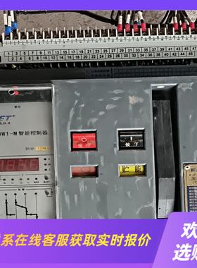 SRDW1-2000能式智能拍前询价下单