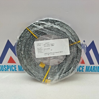 NonAssestors Pilotpack Universal Packing 8022 9.5 MM x MTR L