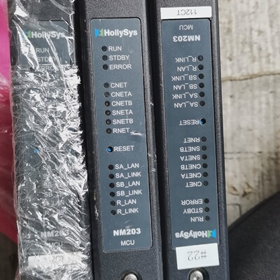 寻HOLLYSYS模块NM203MAcsvIL1一D05