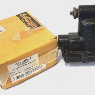 Nouveau Hoffman B1125S2 Trap Seau 12 125 PSI Avec Filtre B1