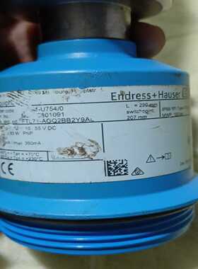 咨询-两只EH音叉液位计FTL71-AGQ2BB2Y9AL