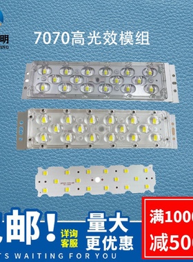 路灯led国标户外防水模组玉兰灯市政工程景观灯照明太阳能投光灯