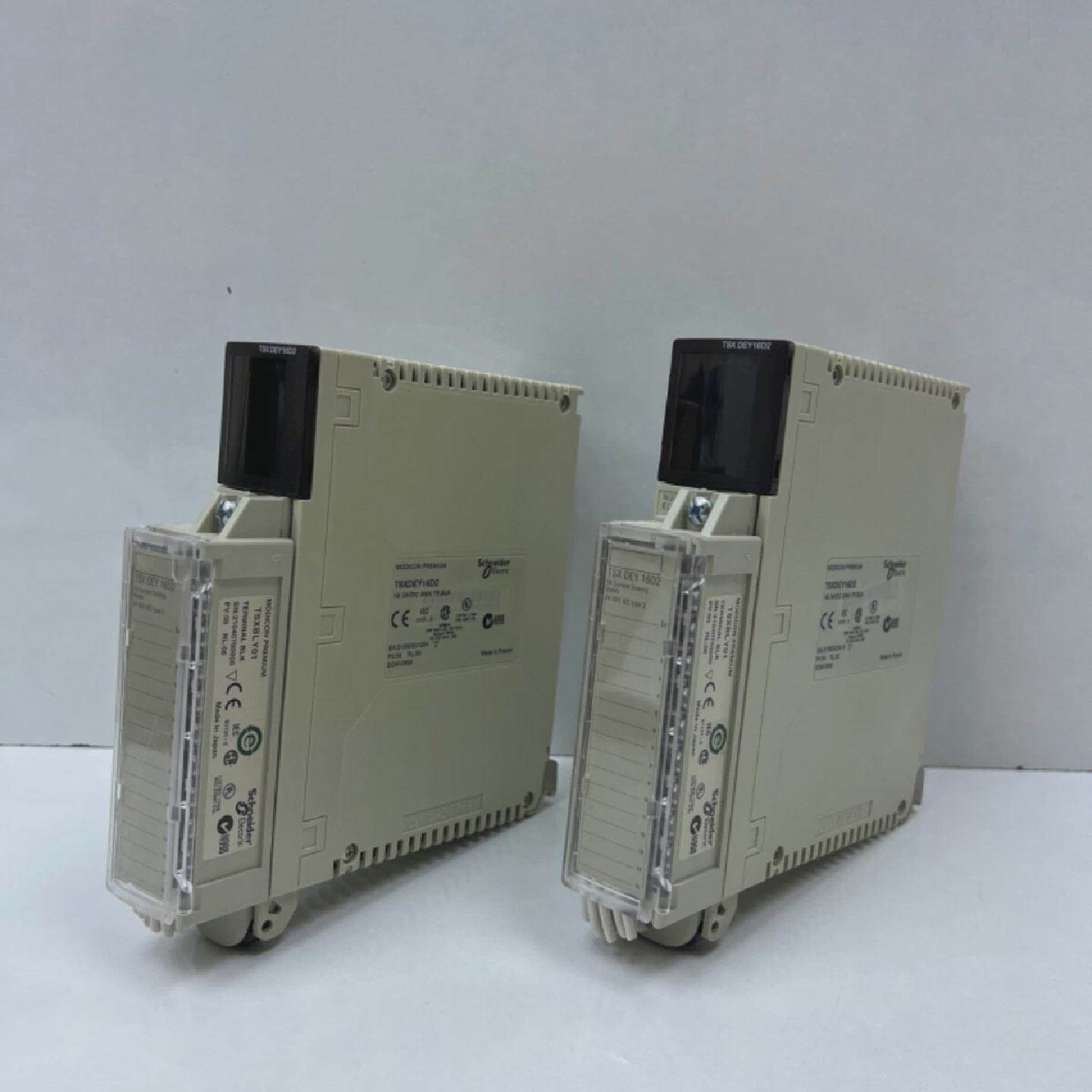 Los 2 Stk Schneider PLC Eingangsmodul TSXDEY16D2 - 实物图