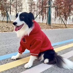新年狗狗衣服秋冬款加绒加厚金毛红色衣服拉布拉多德牧中大型犬