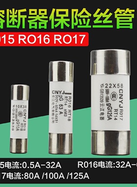 云江陶瓷保险丝管R015R016熔断器熔芯10*3814*51RT1832X63X