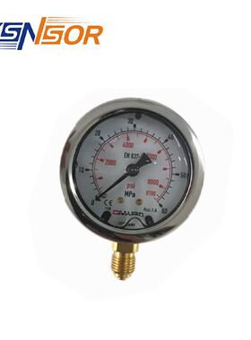 寻“”德国DMASS压力表MBB06B6001ZZZ0600BAR径向63MM表径