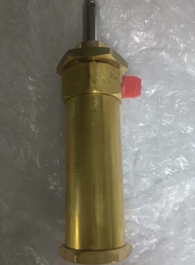 getinge HS66、CSS600系列灭菌器门气缸，全-议价