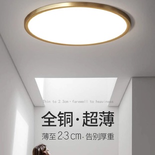 全铜吸顶灯led超亮防蚊虫防潮三色遥控阳台卧室灯具 2024新款
