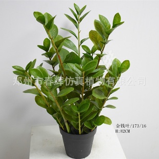 饰摆件仿真摇钱树金钱叶树 仿真金钱树绿植小盆栽假树仿真树客厅装