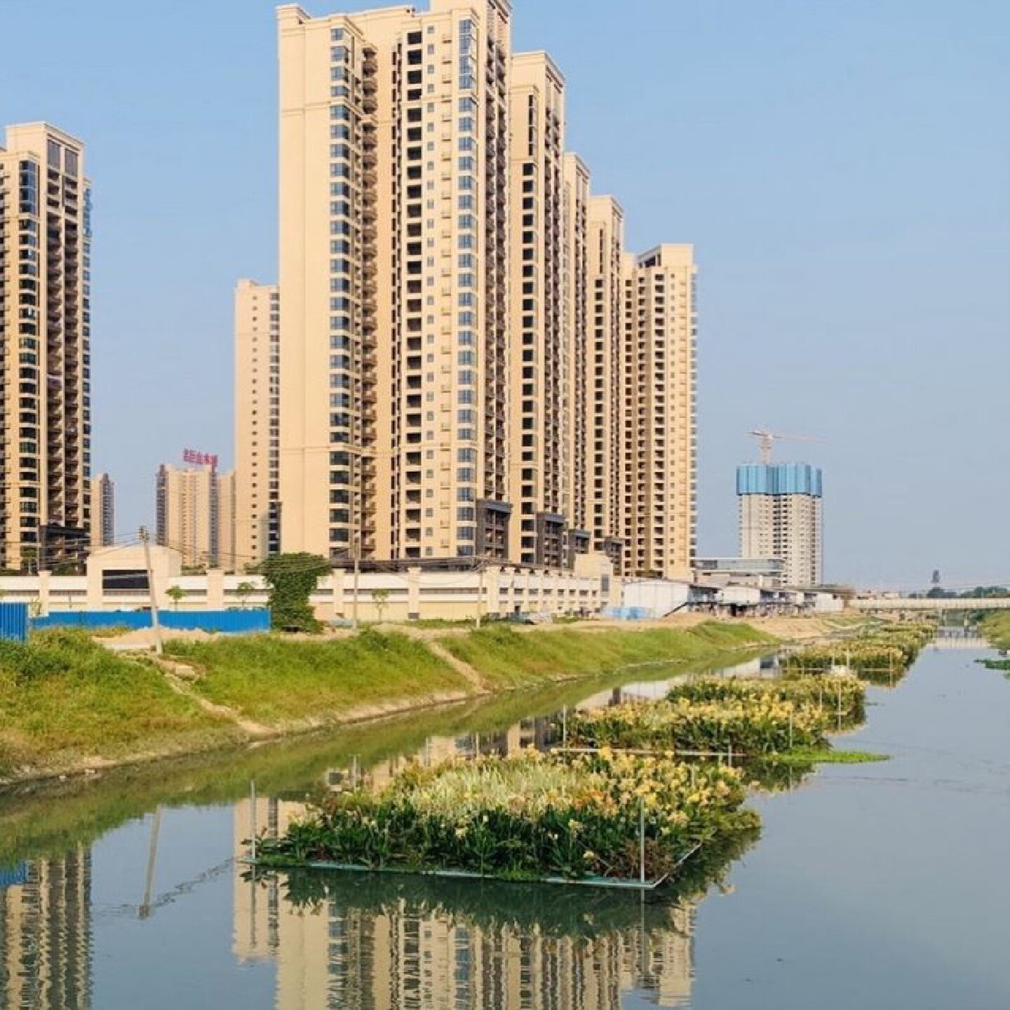 生态浮岛水上种植人工生态浮床浮岛水生植物绿化造景河道水面景观