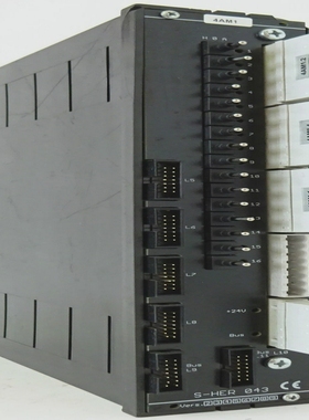 A-M-SystemeS-HER043OutputModuleRelaisausgangsmodul16K