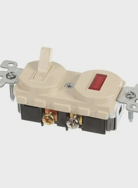 NOR-LAKE172558Switch&PilotLight4.45