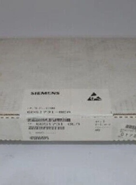 议价NeuOvp  Teleperm 6Ds17318Ea  6Ds 17318Ea E05适用