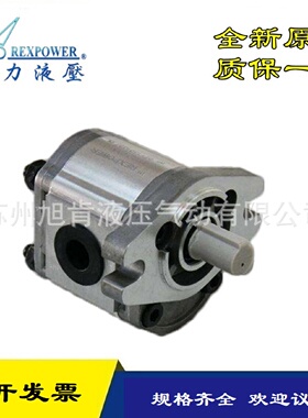 寻I锐力齿轮泵RGPF410RF416F425F427F430F432RRN