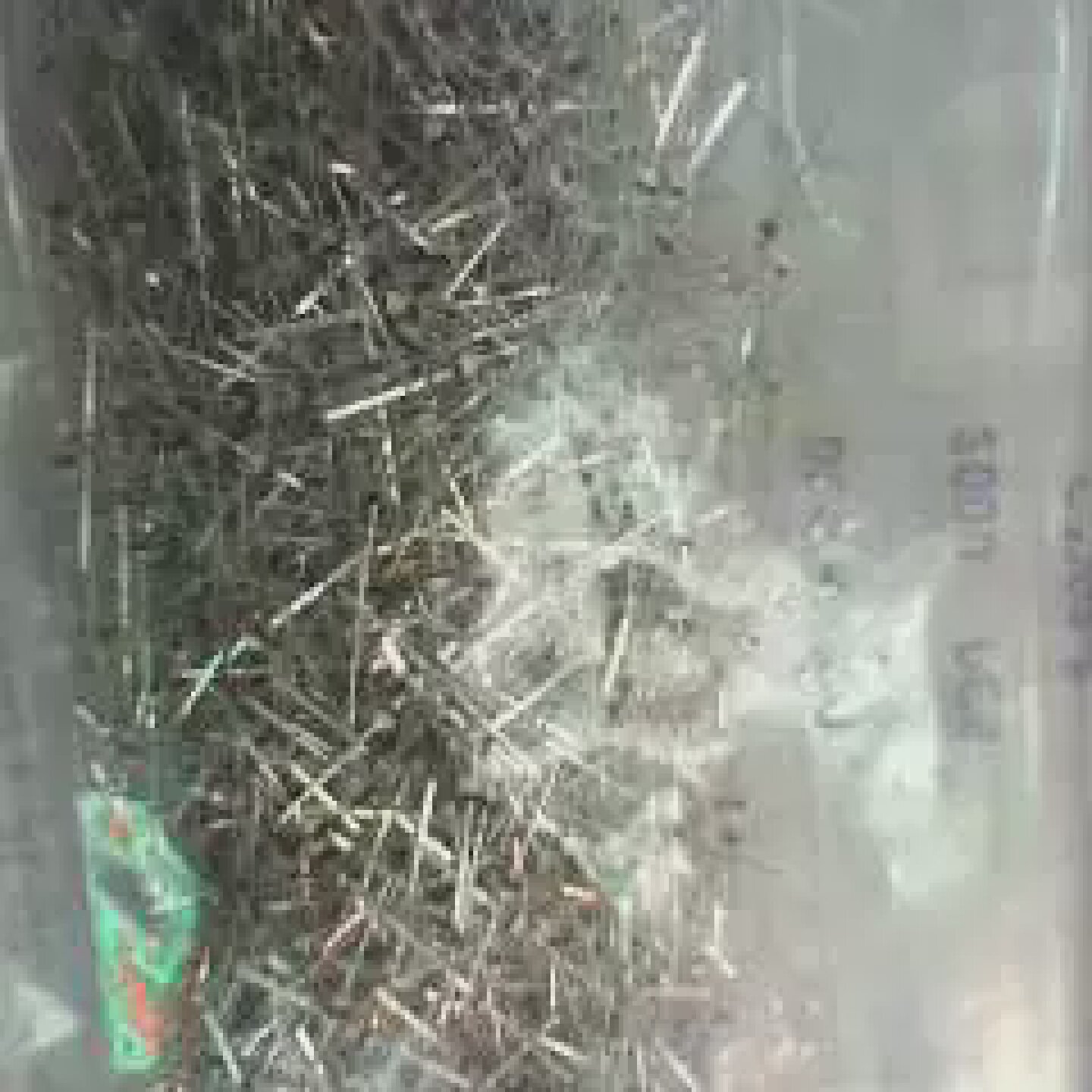 特价LED单灯小蝴蝶红色超高亮散光佰鸿正品按键指示灯发光二极管