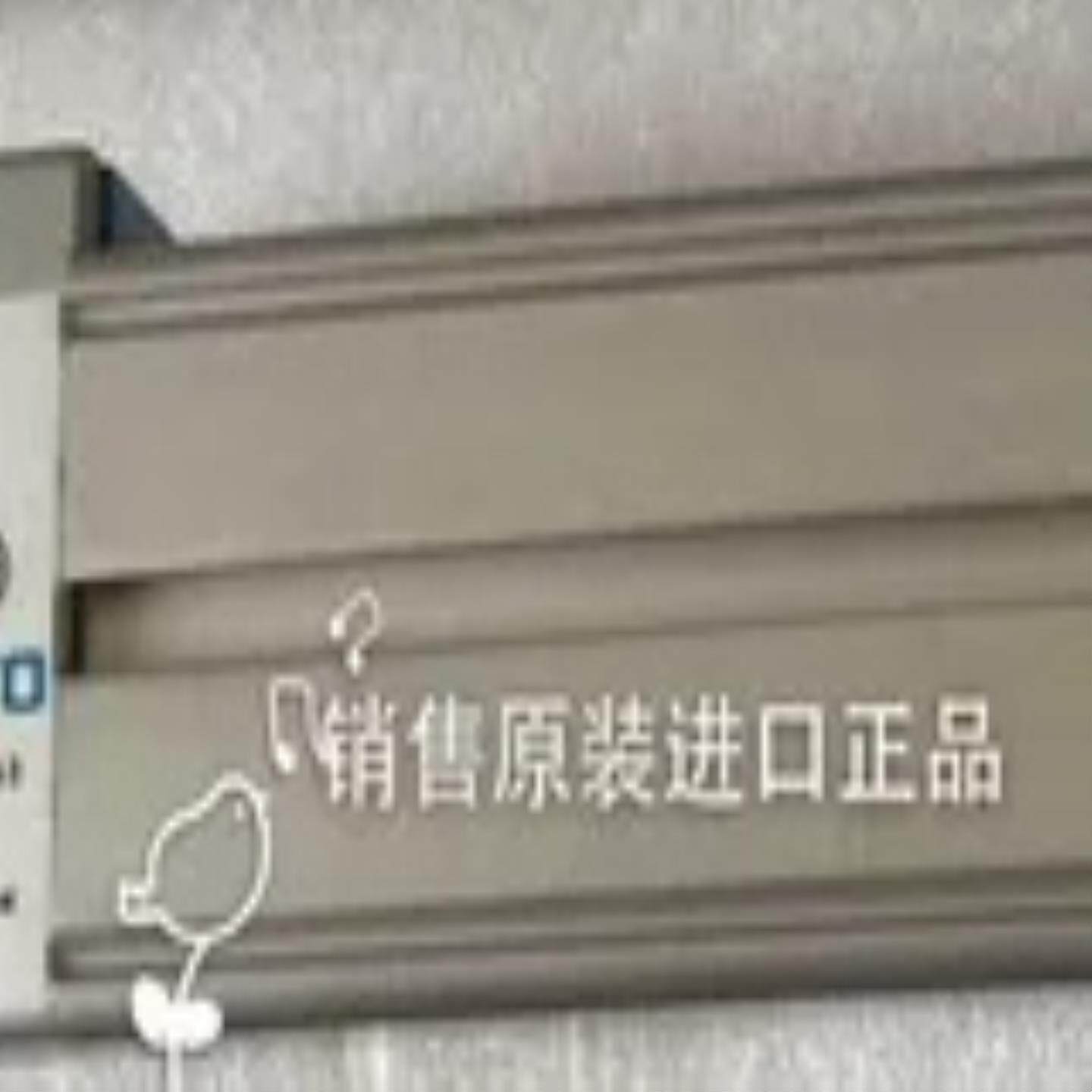 DGP-25-300-PPVA-B161780DGP25-250-PPVA-B  FESTO