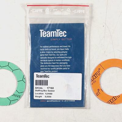 Stuffing Box Gasket 17168 For Teamtec PACK OF 7 PCS